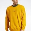 Reebok Classics Vector Sweatshirt -Fit Mode Shop 1 zoom desktop 526