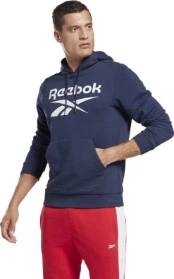 Reebok Training Big Logo Hoodie Gray -Fit Mode Shop 218692261c47da8dc53f1.82122397