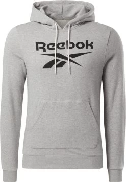 Reebok Training Big Logo Hoodie Gray -Fit Mode Shop 218692361c986a179f2a8.82586577