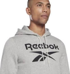 Reebok Training Big Logo Hoodie Gray -Fit Mode Shop 218692361c986d9589732.54154773