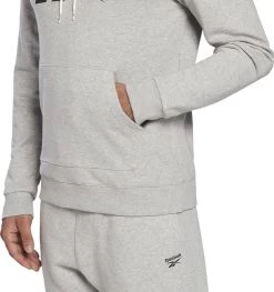 Reebok Training Big Logo Hoodie Gray -Fit Mode Shop 218692361c986e96cf4a4.18463996
