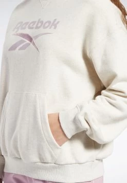 Reebok Classics Big Logo Hoodie -Fit Mode Shop 4 zoom desktop 262